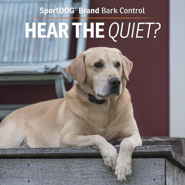 SportDOG Brand NoBark 10 Collar - Rechargeable, Programmable Bark Collar - Waterproof & Submersible