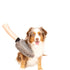 DGS Pet Products Dirty Dog Grooming Mitt Grey 10″ x 7″ x 1″