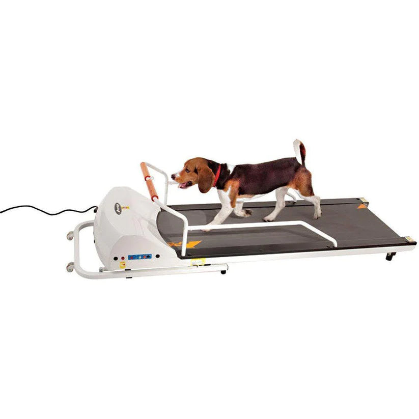 PetRun PR720F Dog Treadmill
