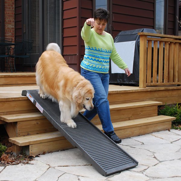 PetStep Folding Pet Ramp