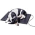 K&H Pet Products Heated Lectro-Kennel Outdoor Dog Pad, Waterproof Dog and Cat Heating Pad, Kennel Warming Mat,